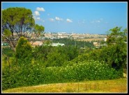 Commerce Saint Emilion