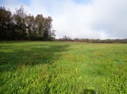 Terrain Cladech
