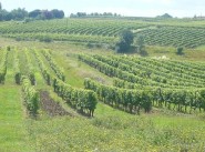 Terrain Monbazillac